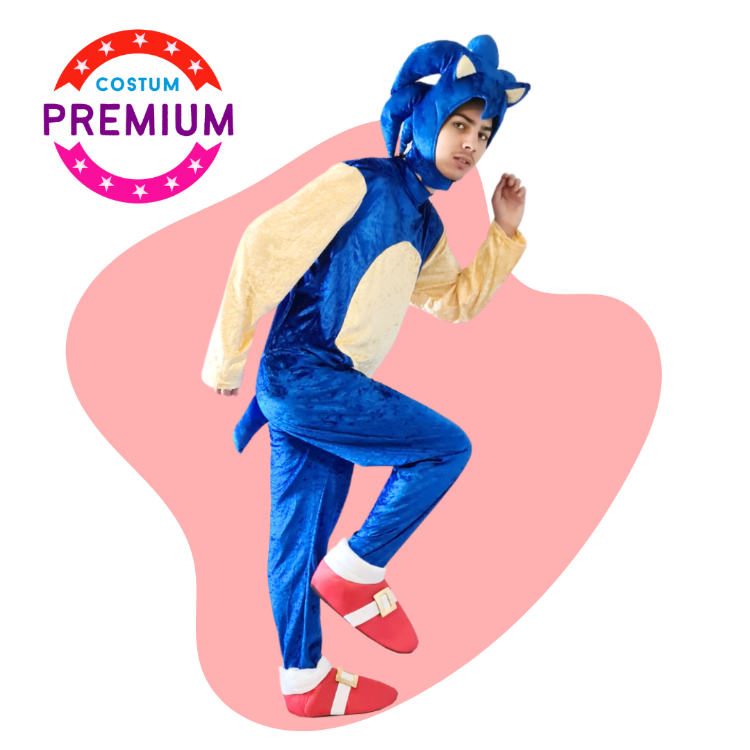 Costum Sonic Premium