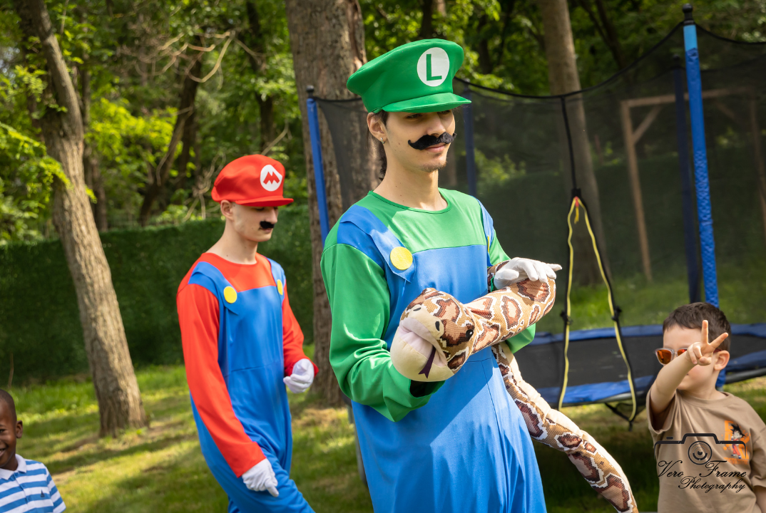 Mario si Luigi