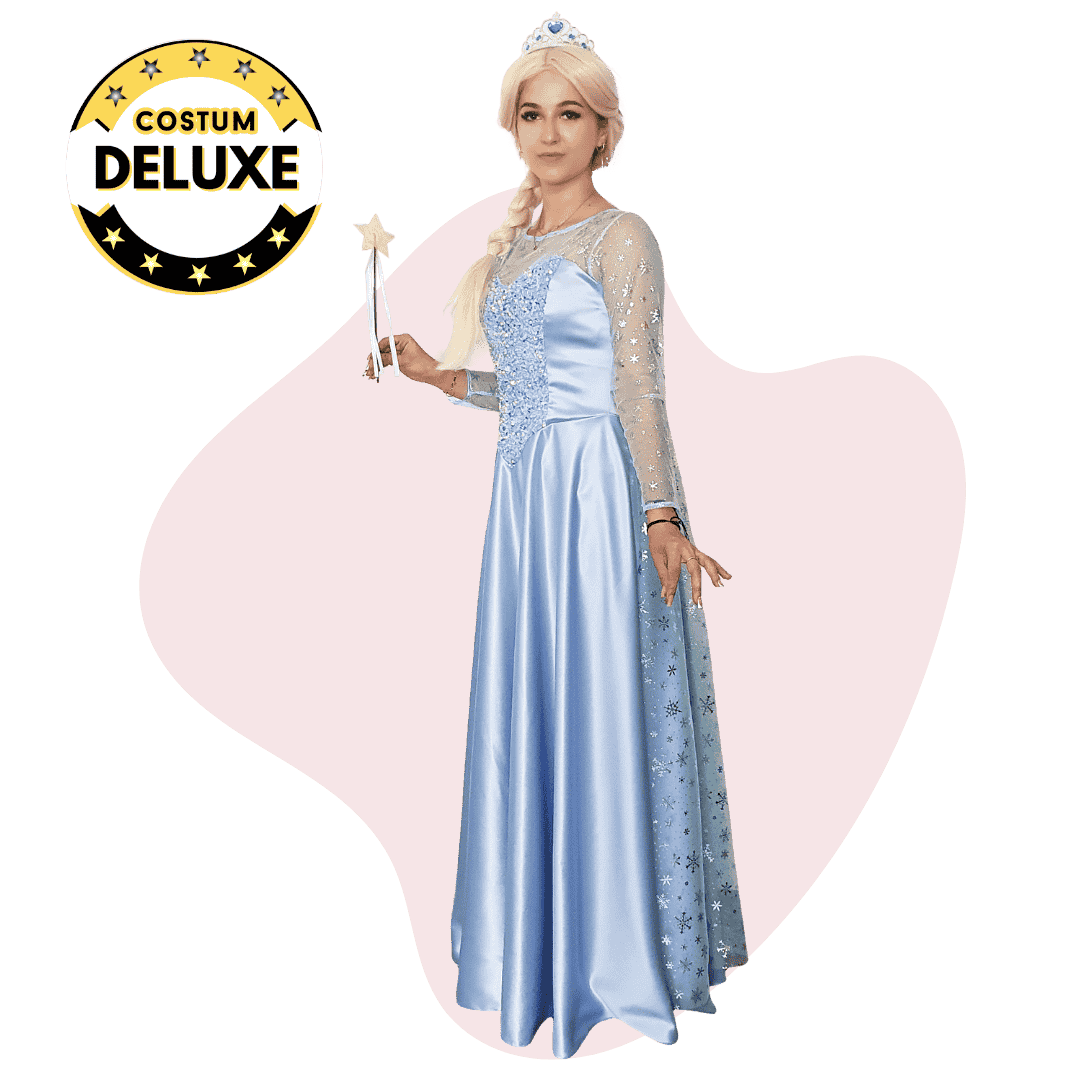Animator Elsa